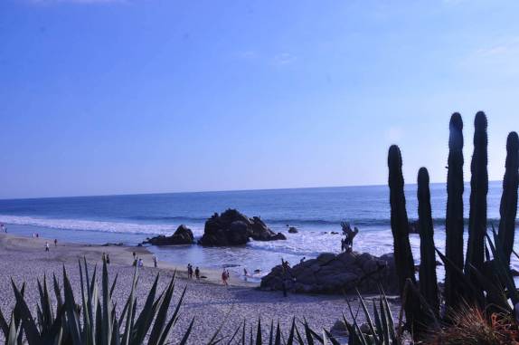 Cactus no mirante da  praia de Zicatela, em Puerto Escondido, na costa de Oaxaca, no litoral Pacífico do México